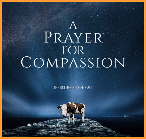 A Prayer For Compassion Documentary