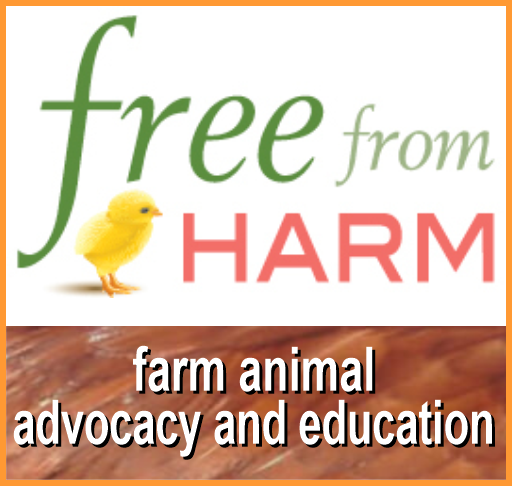 Free From Harm